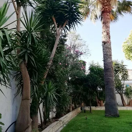 Noera Ξενοδοχείο Σκιάθος Πόλη