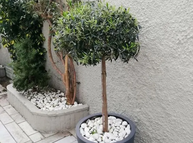 Ξενοδοχείο Noera