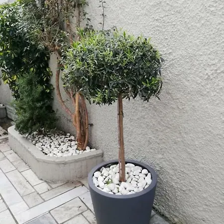 Отель Pothos