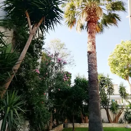 Noera 3* Skiathos stad